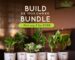 Best indoor plants available at showbageecha
