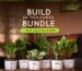 Best indoor plants available at showbageecha