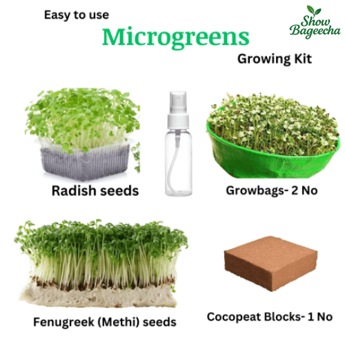 Microgreen Kits