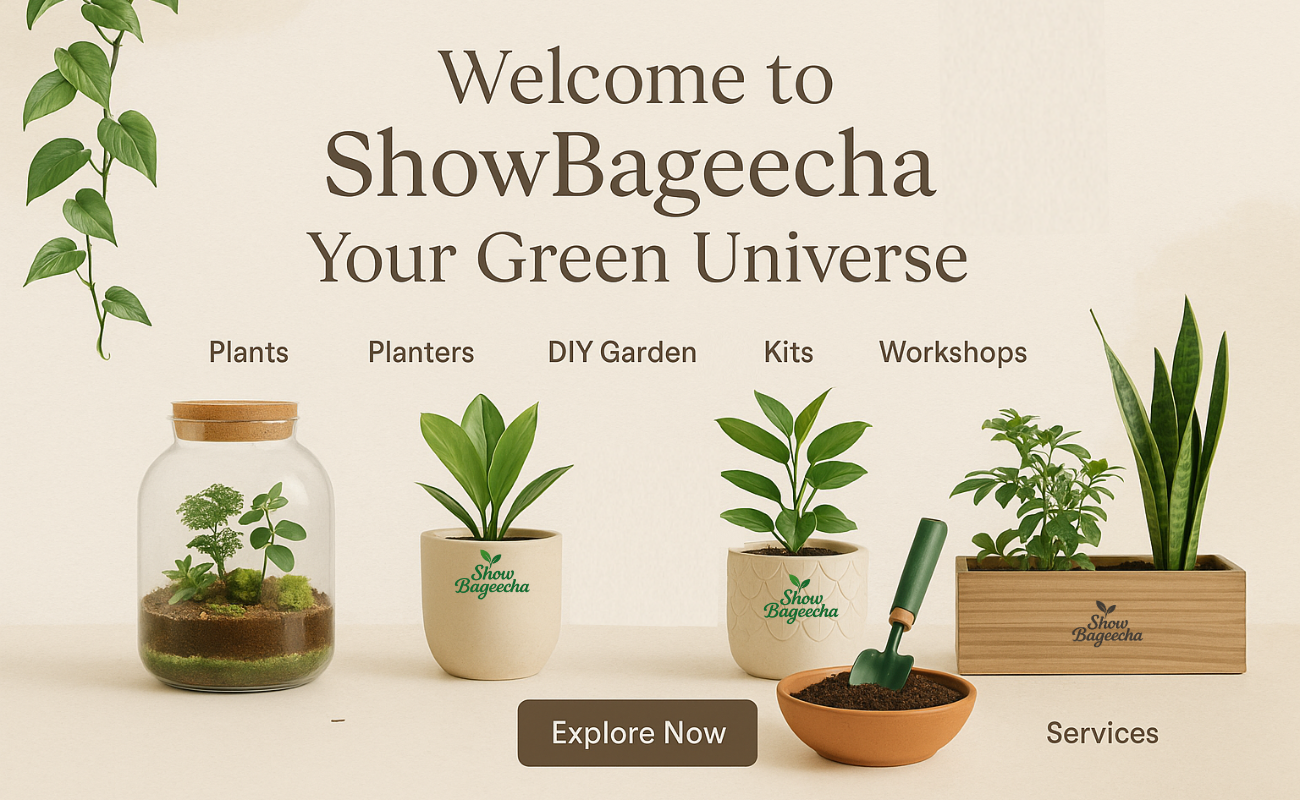 Online Plant Nursery, Garden store