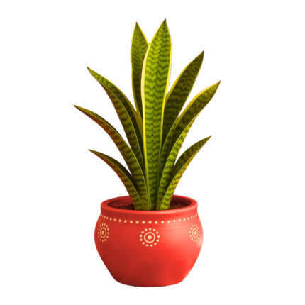 Snake Plant in Decorative Festive Pot – Lucky, Air Purifying, Easy Care | ShowBageecha