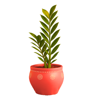 zz-Palnt-festive-pot-Gift