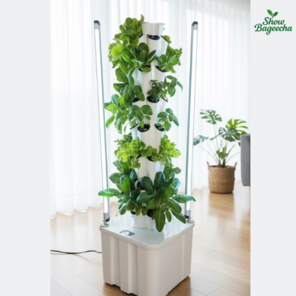 Hydroponics Indoor