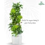 Hydroponics India