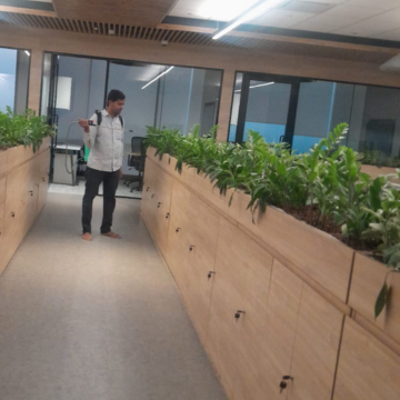 Plant Care Maintenance