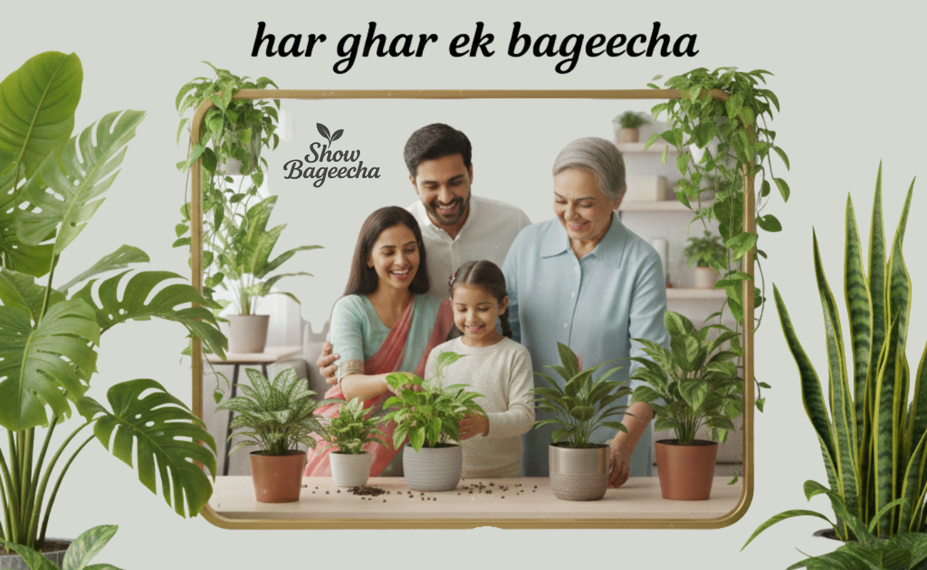 Garden Centre Hyderabad