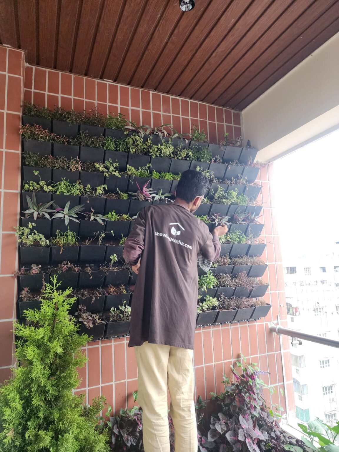 Garden maintenance in hyderabad