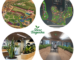 Best Landscaping Services in Hyderabad