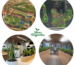 Best Landscaping Services in Hyderabad