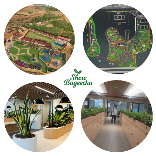 Best Landscaping Services in Hyderabad